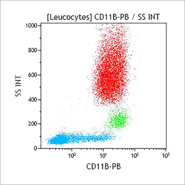 B36296_CD11b-PB, Bear1, 50 Tests, CE